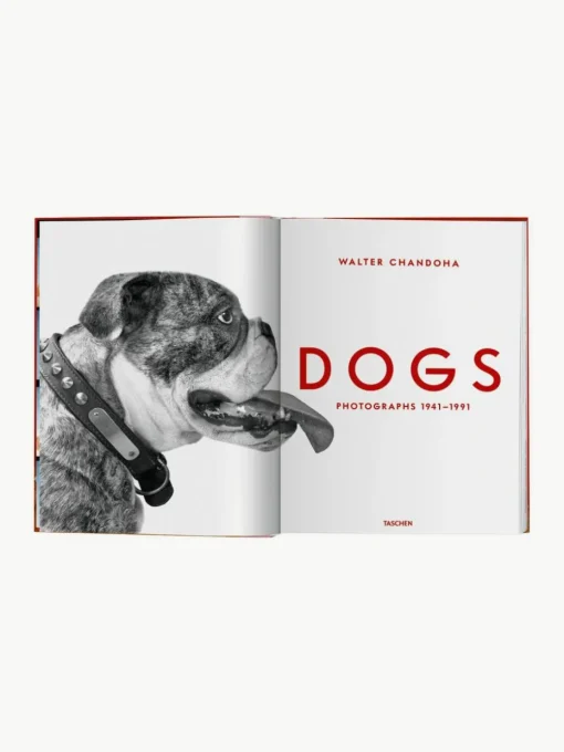 Geïllustreerd boek Dogs Photographs 1941–1991