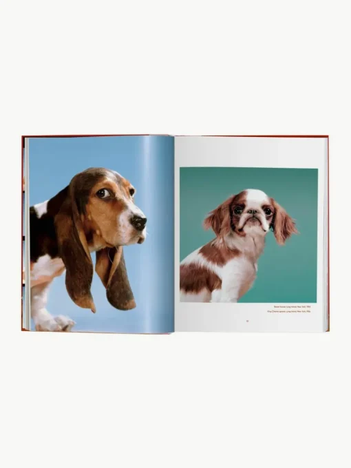 Geïllustreerd boek Dogs Photographs 1941–1991