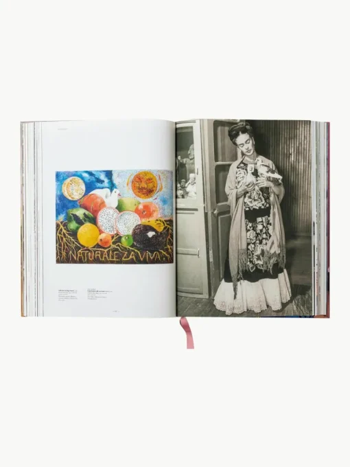 Geïllustreerd boek Frida Kahlo. All paintings