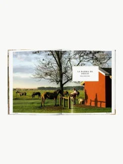 Geïllustreerd boek Great Escapes Latin America