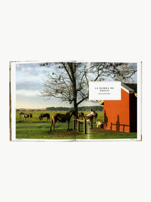 Geïllustreerd boek Great Escapes Latin America