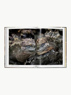 Geïllustreerd boek Steve McCurry. Animals