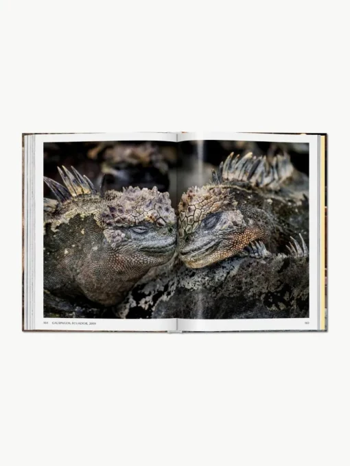 Geïllustreerd boek Steve McCurry. Animals