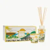 Geschenkdoos My First Baobab Rio (bergamot, kardemom & muskus), 2-delig