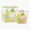 Geurkaars My First Baobab Miami (zoutbloem, maritieme den & cipres)