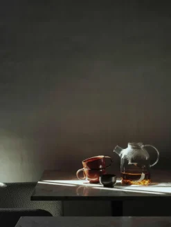 Glazen theepot Kettle met Theezeef, 1.5 L