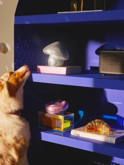 Glinsterend decoratief object Disco Croissant