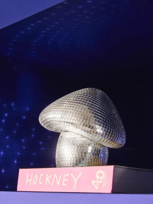 Glinsterend decoratief object Disco Mushroom