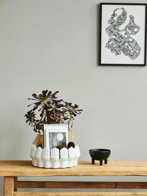 Grote decoratieve schalen Anise van keramiek