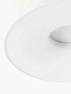 Grote LED plafondlamp Maggiolone, dimbaar