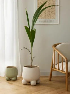 Grote plantenpot Olea, H 32 cm