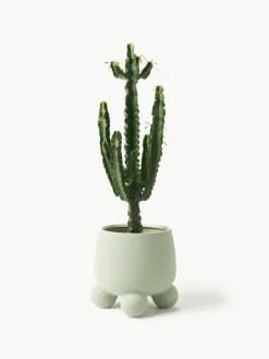 Grote plantenpot Olea, H 32 cm