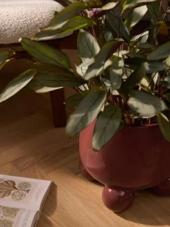 Grote plantenpot Olea, H 32 cm
