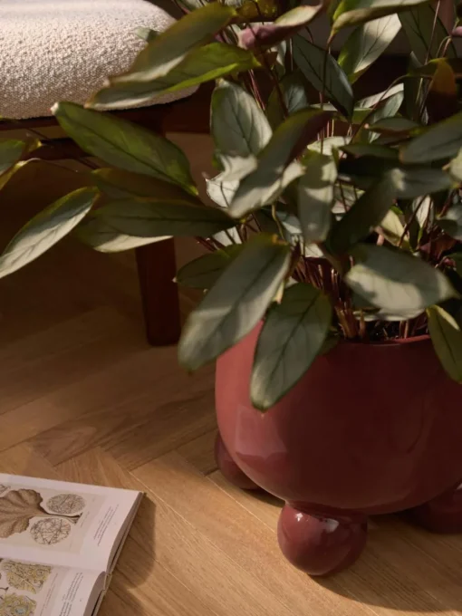 Grote plantenpot Olea, H 32 cm