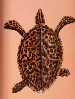 Handbeschilderd sierblad Fauna met schildpadmotief