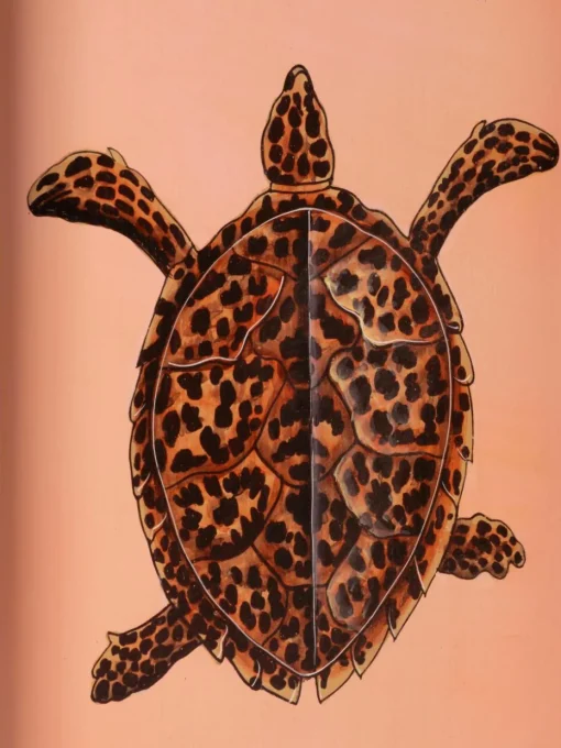 Handbeschilderd sierblad Fauna met schildpadmotief