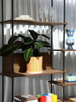 Handbeschilderde porseleinen plantenpot Ray