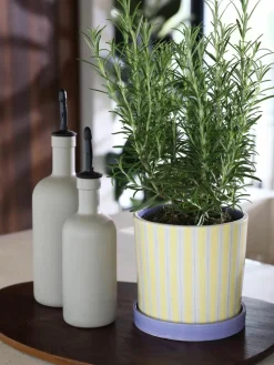 Handbeschilderde porseleinen plantenpot Ray