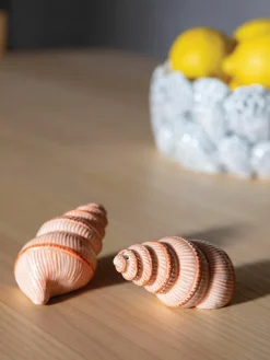 Handbeschilderde zout- & peperstrooier Shell van dolomiet, 2-delig