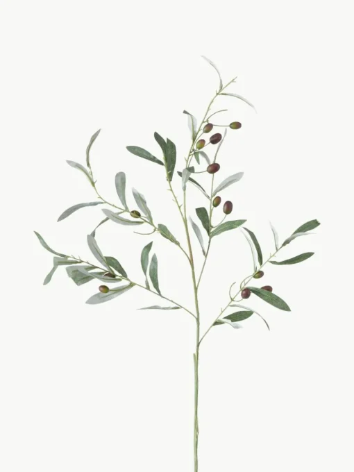 Handgemaakte decoratieve tak Olive Garden