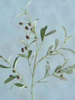 Handgemaakte decoratieve tak Olive Garden