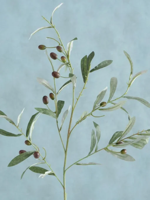 Handgemaakte decoratieve tak Olive Garden