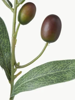 Handgemaakte decoratieve tak Olive Garden