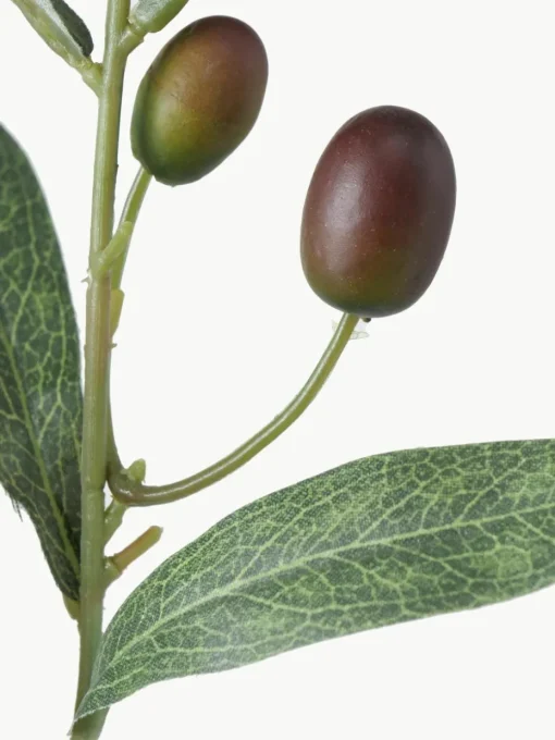 Handgemaakte decoratieve tak Olive Garden