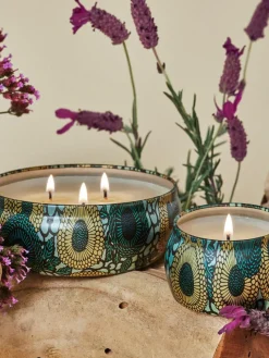 Handgemaakte geurkaars Japonica Collection (cade hout, verbena & lavendel)