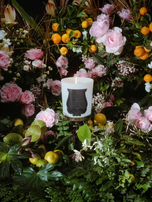 Handgemaakte geurkaars Rose Poivrée (amber, palmarosa, roos)
