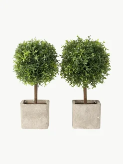Handgemaakte kunstbomen Moni, set van 2