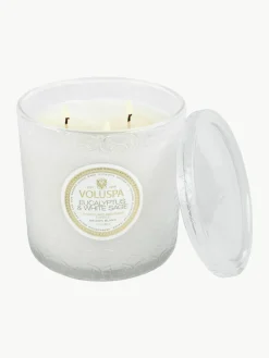 Handgemaakte 3-lonts geurkaars Maison Blanc (eucalyptus, kardemom, saliekleurig & hinoki-schors)