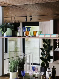 Handgemaakte waterglazen Eve van borosilicaatglas, 2 stuks