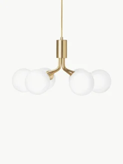 Hanglamp met glazen bollen Apiales