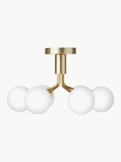 Hanglamp met glazen bollen Apiales
