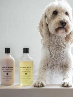 Hondenconditioner Bondi (Tea Tree & Citroengras)