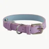 Hondenhalsband Inu