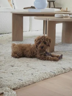 Hondenspeelgoed Otto