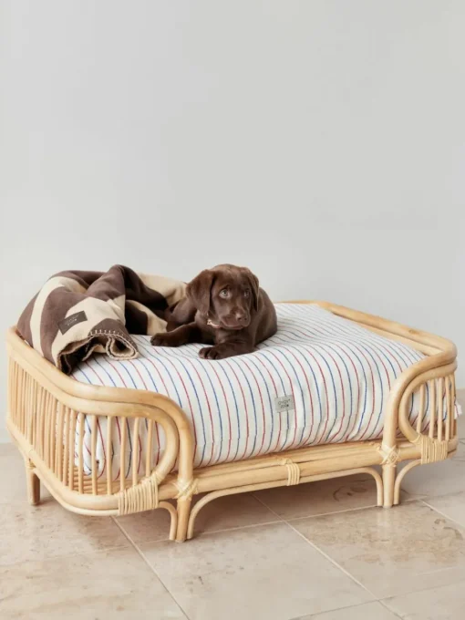 Huisdierbed Otto van rotan, in verschillende formaten