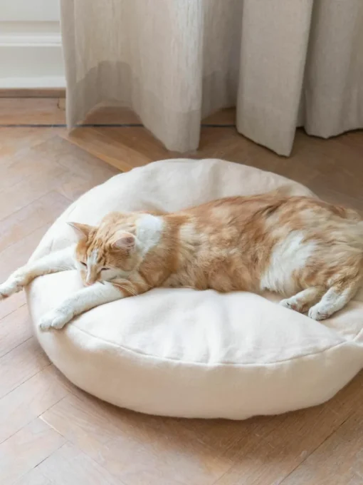 Kattenmand Donut