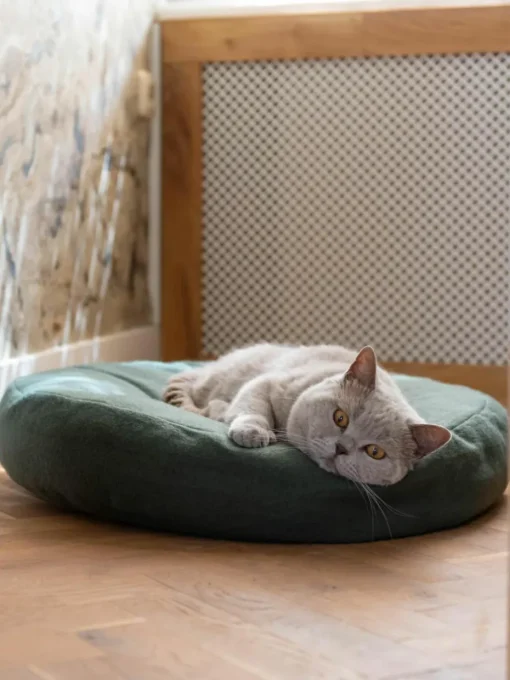 Kattenmand Donut