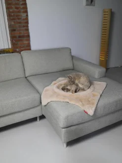 Kattenmand Flip