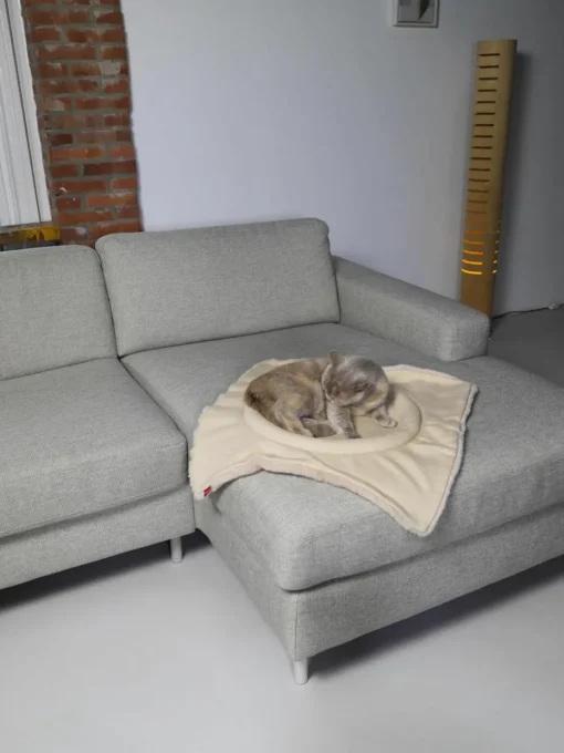 Kattenmand Flip