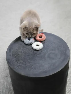 Kattenspeelgoed Mini Donuts, 3-delig