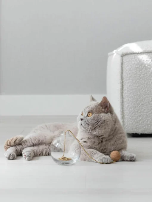 Kattenspeelgoed Tail