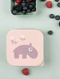 Kinderlunchbox Deer Friends, set van 3