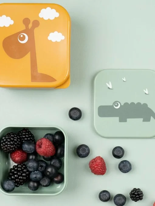 Kinderlunchbox Deer Friends, set van 3