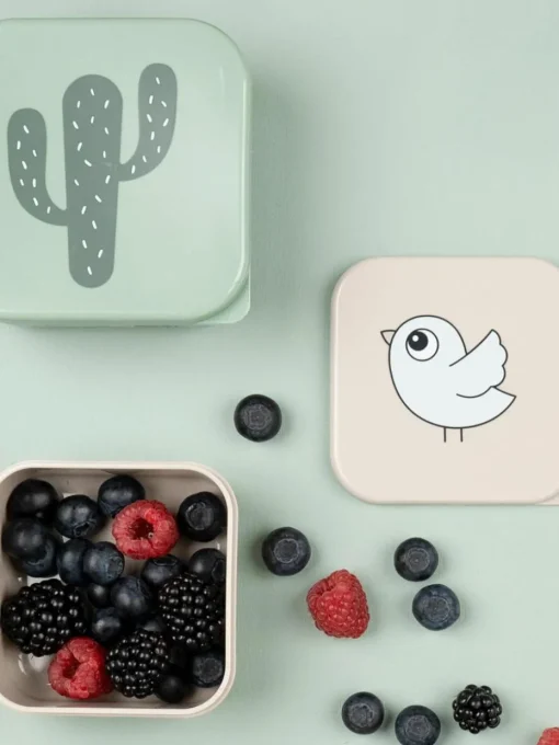 Kinderlunchbox Lalee, set van 3