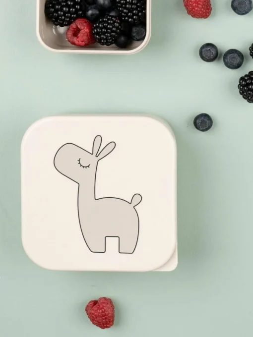 Kinderlunchbox Lalee, set van 3