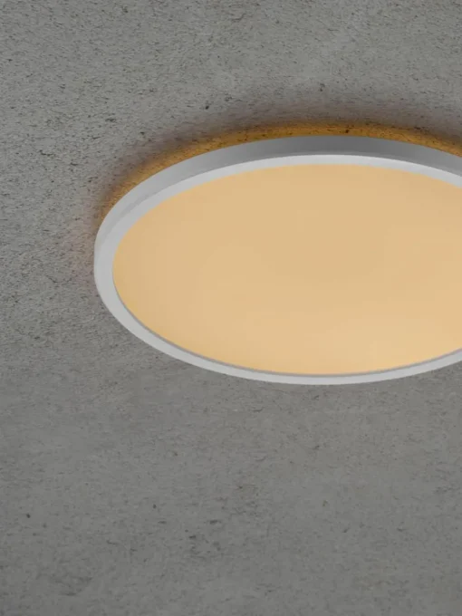 Kleine dimbare LED plafondlamp Oja
